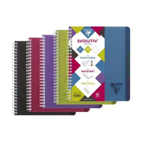 Kołonotatnik Linicolor Evolutiv Intensive